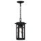 Quoizel Uma 1-Light Matte Black Mini Pendant UMA1508MBK - alternate 2